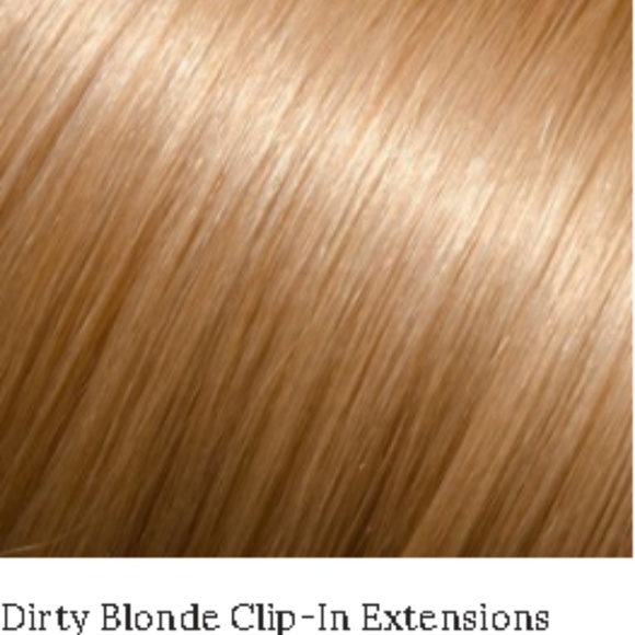 Wicker Hair Clip Ins main image 4